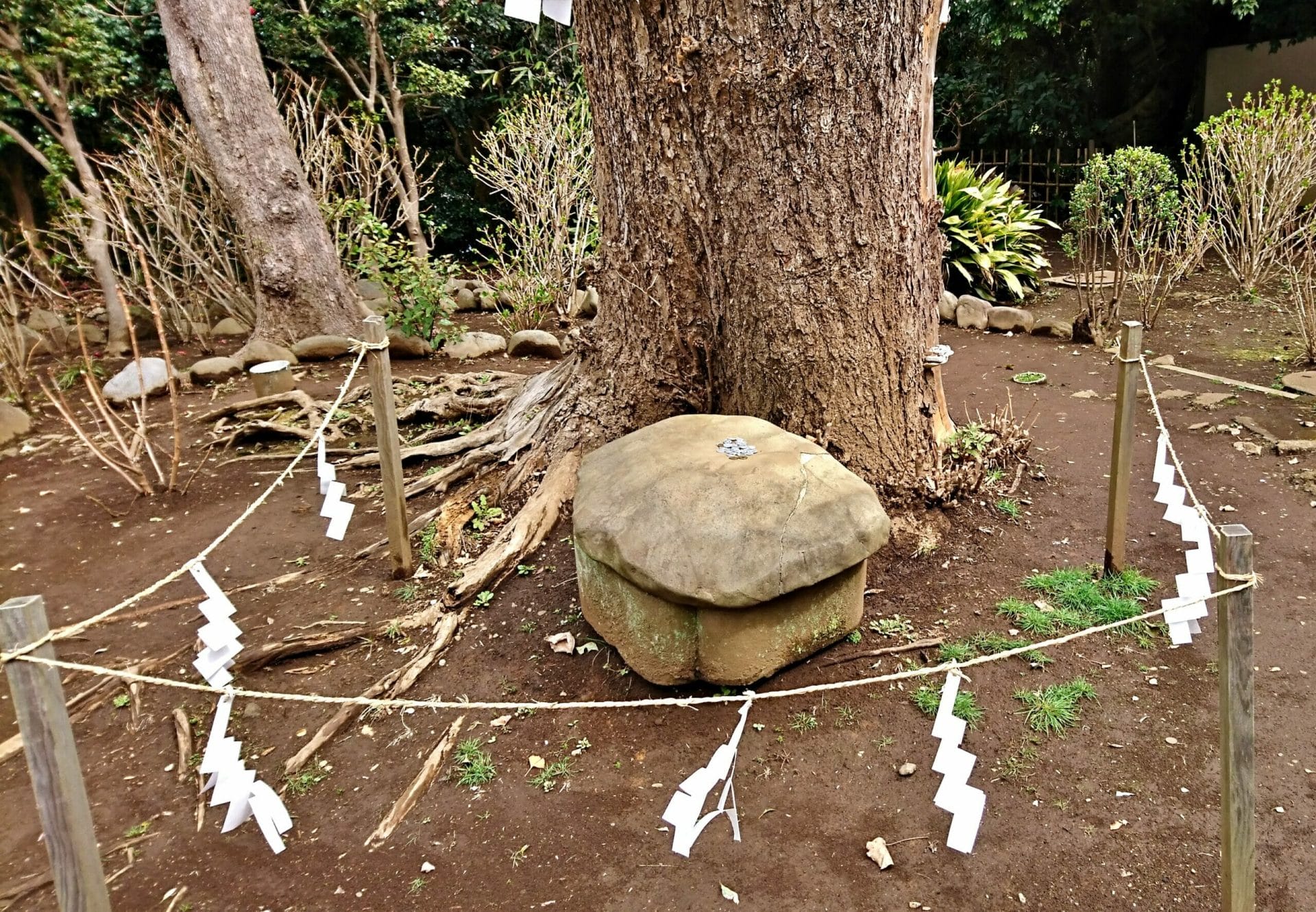 江ノ島神社奥津宮にある亀石