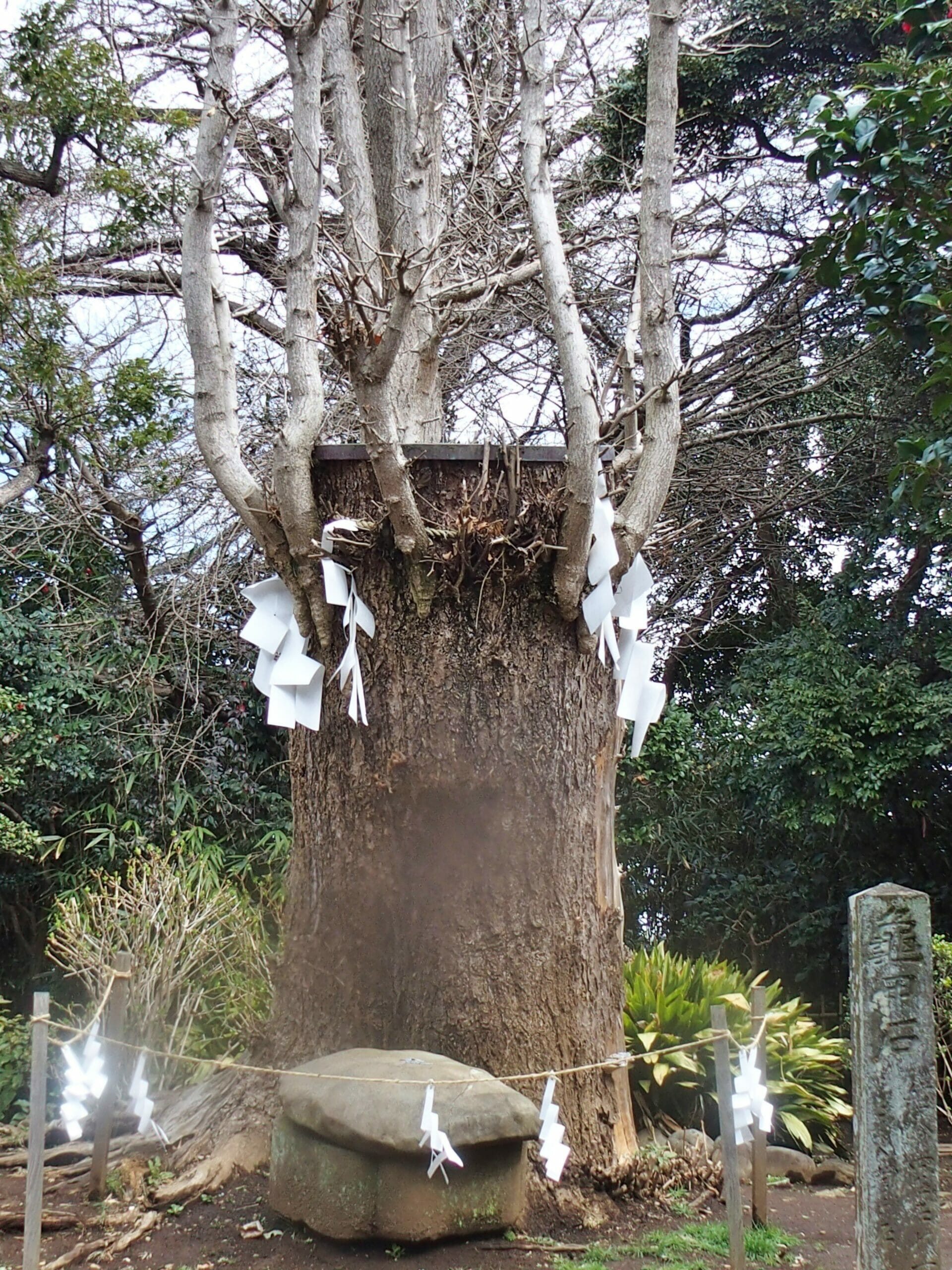 江ノ島神社奥津宮にある亀石