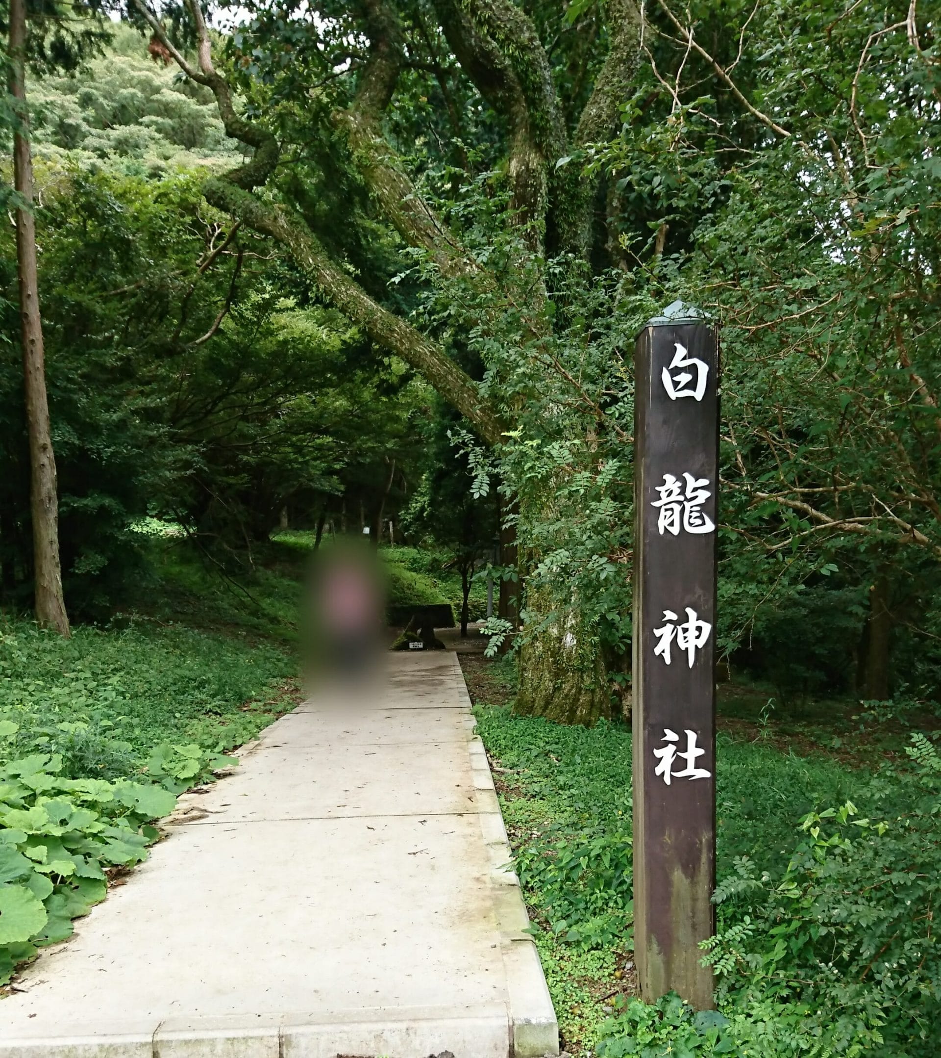 箱根九頭龍の森の近くにある白龍神社