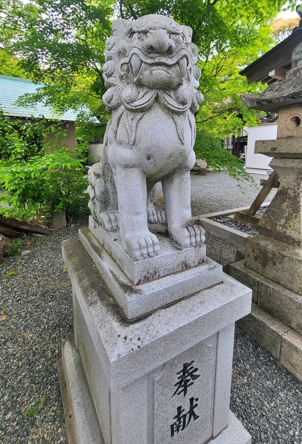 琴崎八幡宮の狛犬様