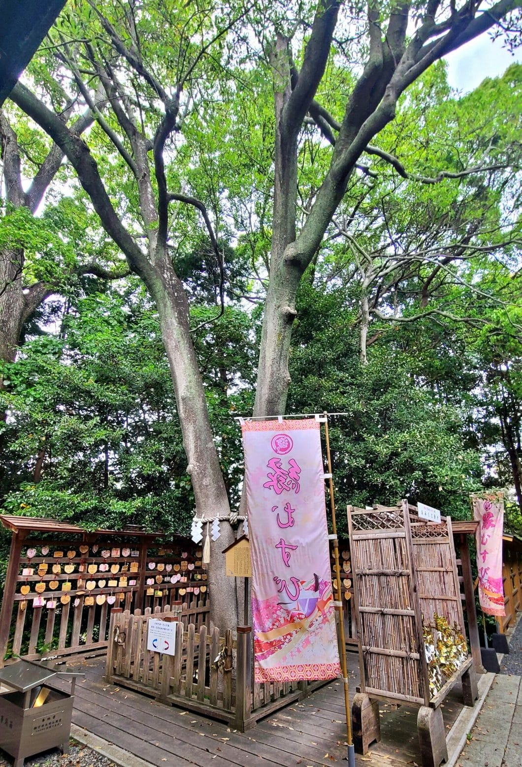 琴崎八幡宮の縁結びの樹
