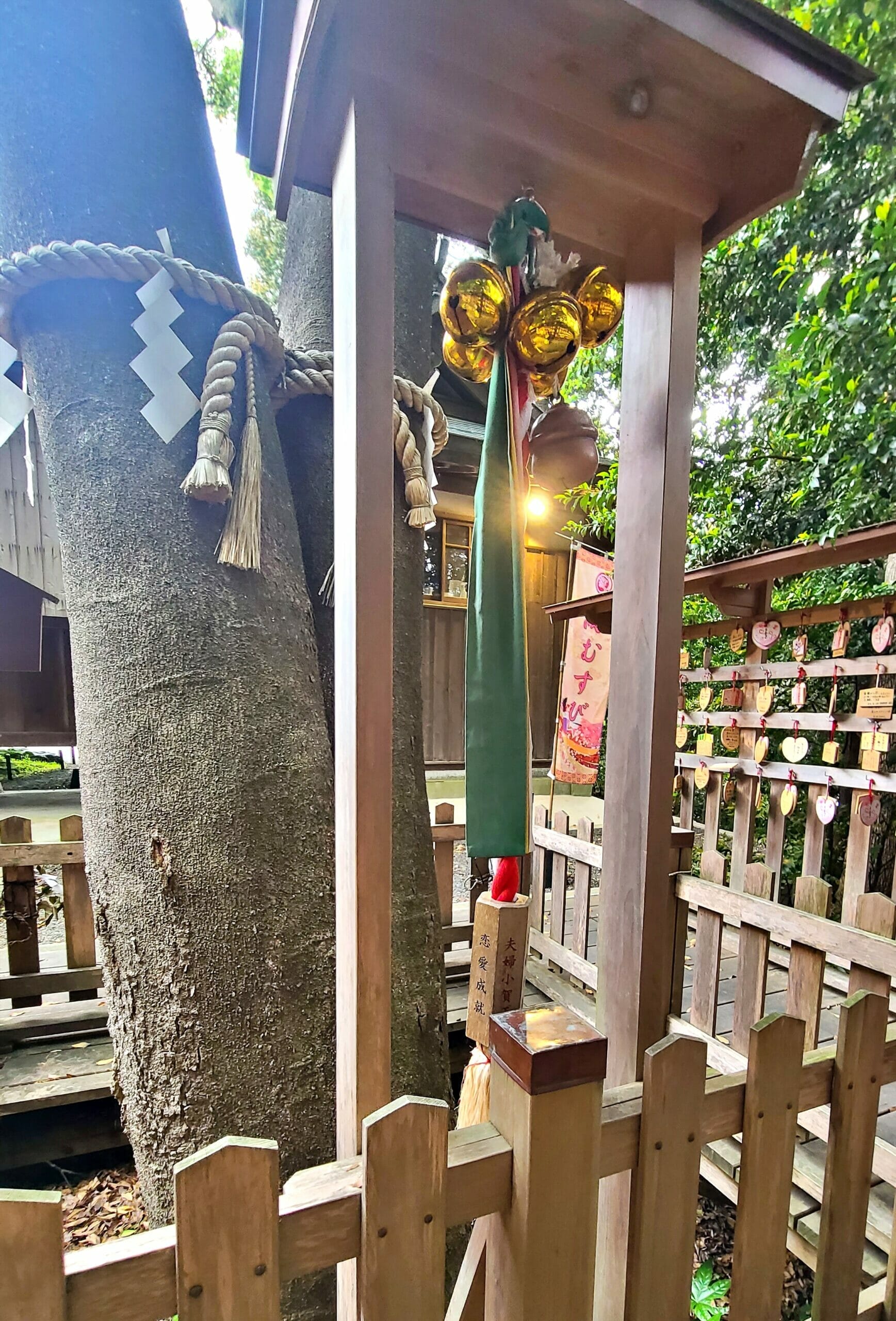 琴崎八幡宮の縁結びの樹のお参りの仕方