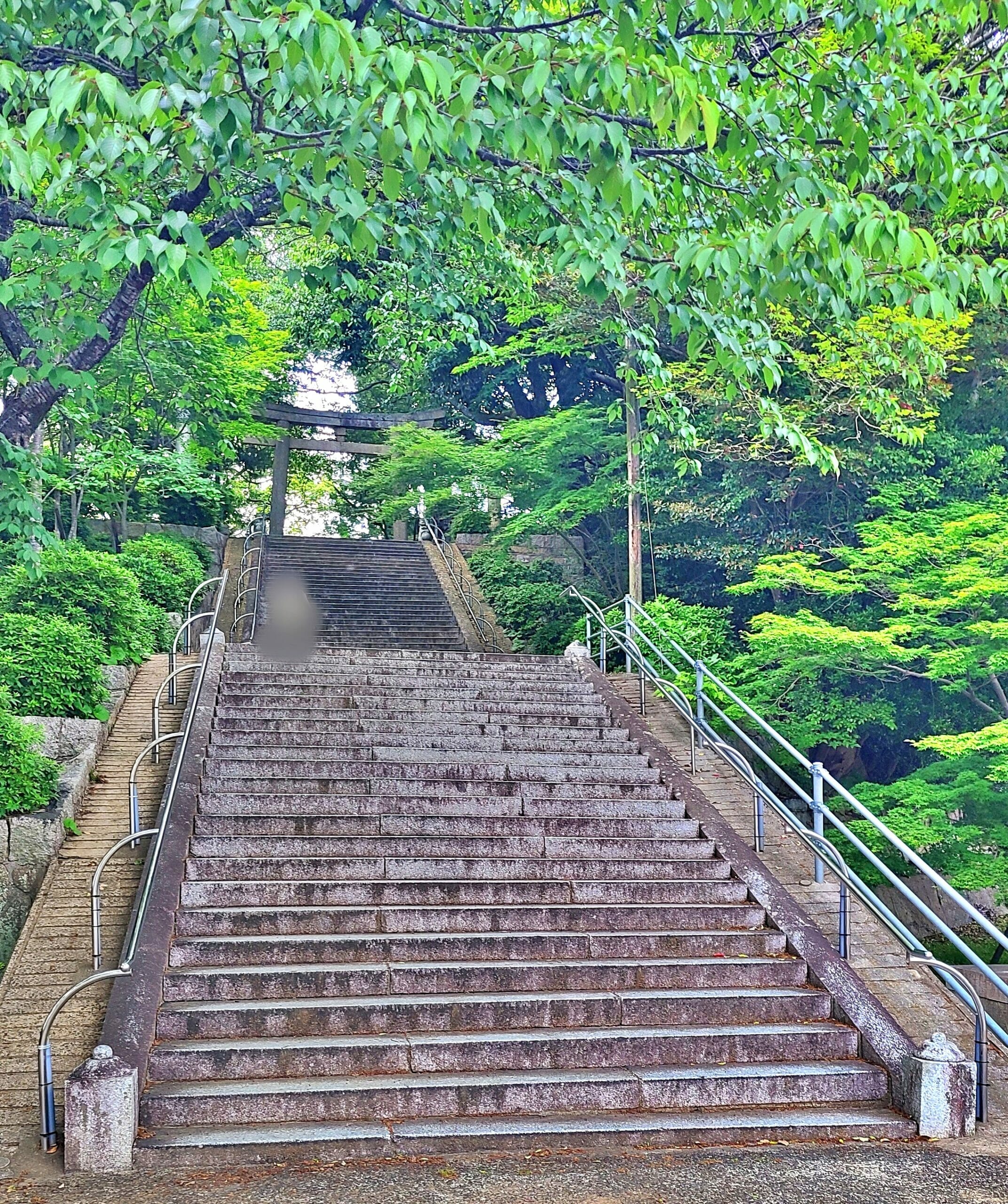 琴崎八幡宮の階段